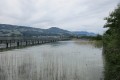 IMG_5916