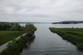 IMG_5921