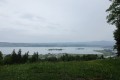 IMG_5928