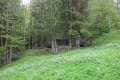 IMG_5936