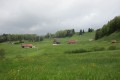 IMG_5943