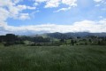 IMG_5957