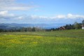 IMG_5958