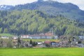 IMG_5961