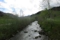 IMG_5980