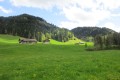 IMG_5983