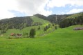 IMG_5984