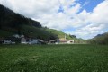 IMG_5987