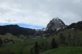 IMG_5993
