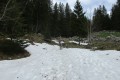 IMG_6000