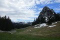 IMG_6008