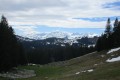 IMG_6009