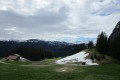 IMG_6010
