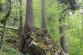 IMG_6024