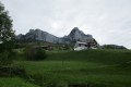 IMG_6031