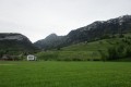 IMG_6041