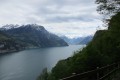 IMG_6056