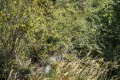 PXL_20210918_110305982.MP_