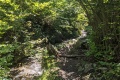 PXL_20210918_112338622.MP_