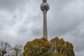 PXL_20211105_100523108