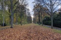 PXL_20211107_142907949