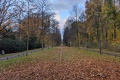 PXL_20211107_142915610