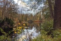 PXL_20211107_143431557