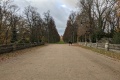 PXL_20211108_123638795