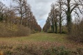 PXL_20211108_124541616