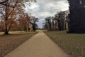 PXL_20211108_125053139