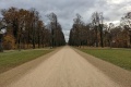 PXL_20211108_131019294
