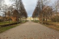 PXL_20211108_134729658