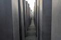 PXL_20211110_093830376