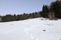 PXL_20220122_163052994