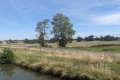 2023-07-14-12h05m36
