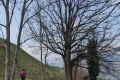 2024-02-29-12h05m30