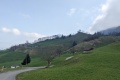 2024-02-29-12h16m55