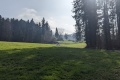 2024-02-29-13h41m00