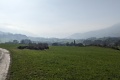 2024-02-29-14h05m27