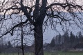 2024-02-29-18h08m58