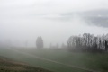 2024-03-01-09h14m01