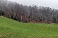 2024-03-01-13h05m00