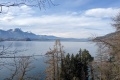 2024-03-03-13h21m48