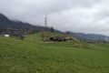 2024-03-04-13h02m38