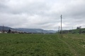 2024-03-04-13h18m46