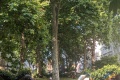 PXL_20240729_161139477