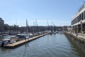 PXL_20240730_104442795