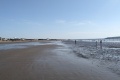 PXL_20240730_154658792