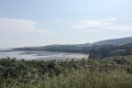 PXL_20240731_092917965