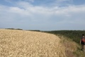 PXL_20240731_092922884